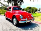 Thumbnail Photo 2 for 1956 Volkswagen Beetle